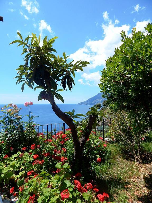 Amalfi View Cottage Bagian luar foto
