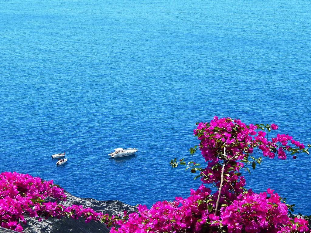 Amalfi View Cottage Bagian luar foto