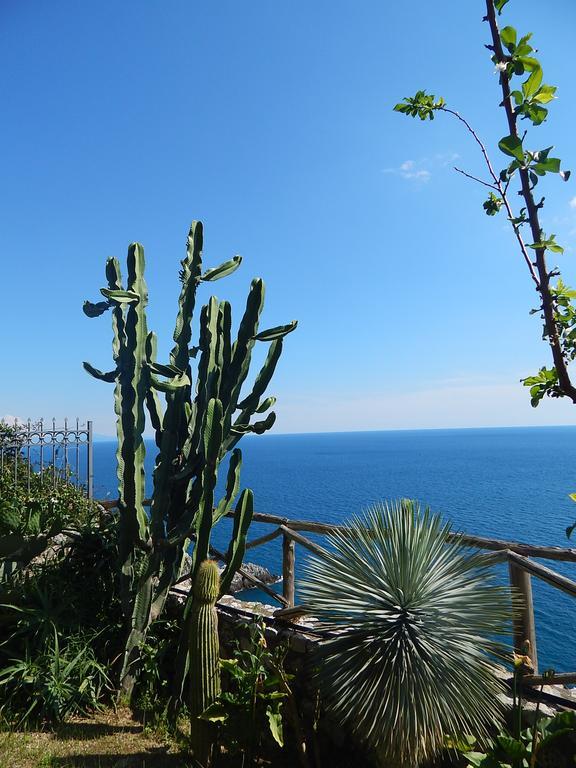 Amalfi View Cottage Bagian luar foto